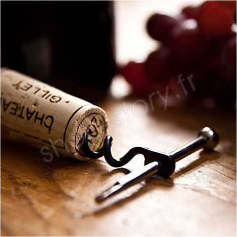 Clé Tire Bouchon Chrom-Top | Le Bon Tire-Bouchon