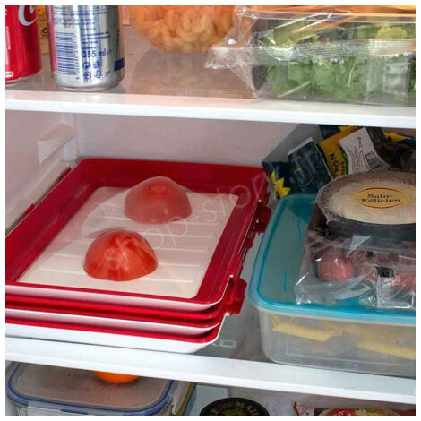 Plateau de conservation pour aliments (1/5)