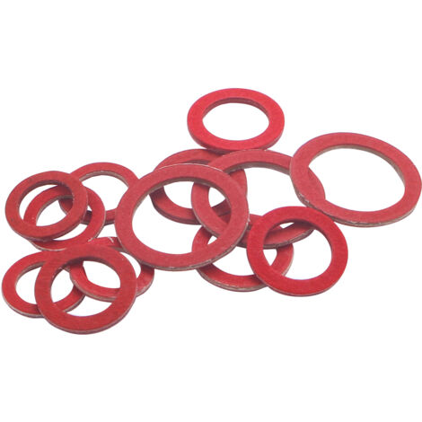 Assortimento di guarnizioni interne in fibra, confezione da 5x (12x17 15x21 20x27) NOYON & THIEBAULT