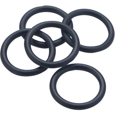 Guarnizione O-ring NBR70, 16,90x2,70 (r13), 5 pezzi NOYON & THIEBAULT