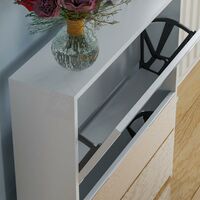 Welham 2 Drawer Mirrored Shoe Cabinet Hallway Storage Cupboard Stand, White