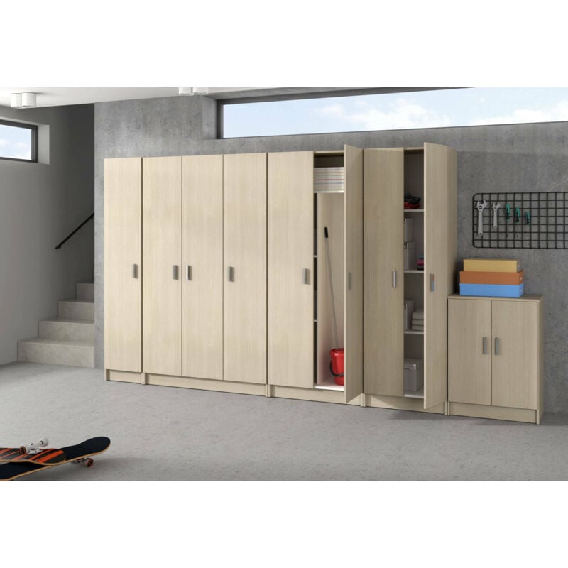 Dmora Armadio multiuso Clearwater, Mobile ausiliario a 1 anta, Guardaroba  portascarpe con ripiani, Scarpiera verticale, cm 37x37h180, Rovere, con  imballo rinforzato