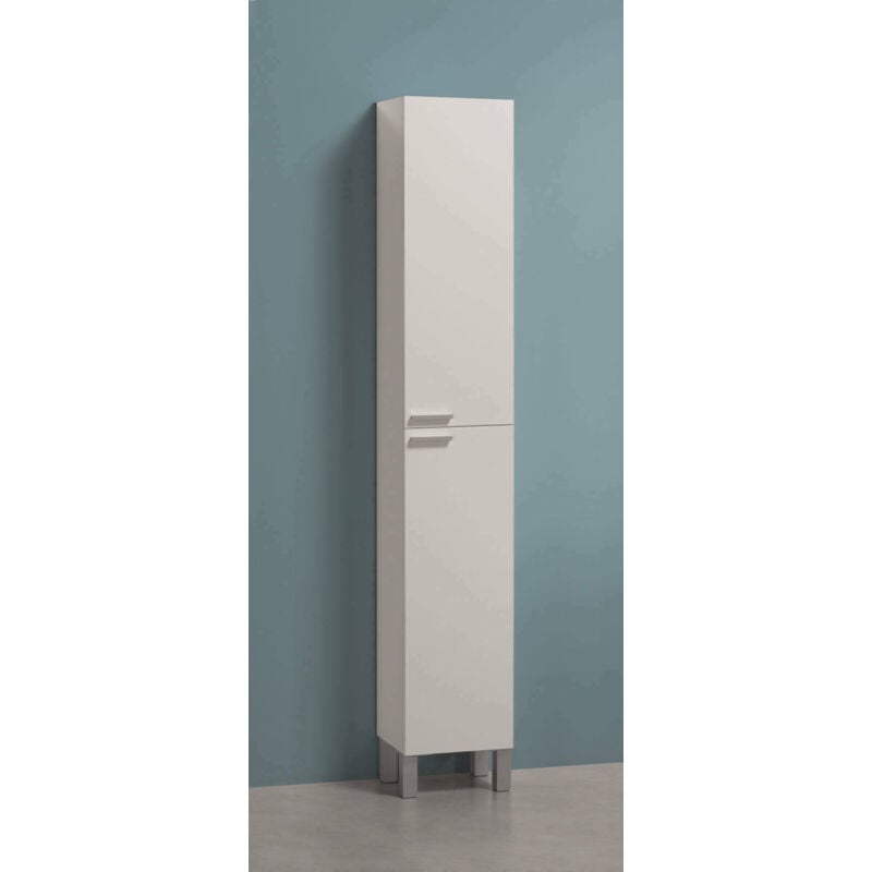 Dmora Colonna bagno Hollywood, Mobile a colonna per bagno a 2 ante, Armadio  pensile sospeso con 2 ripiani, cm 30x25h182, Bianco lucido, con imballo  rinforzato