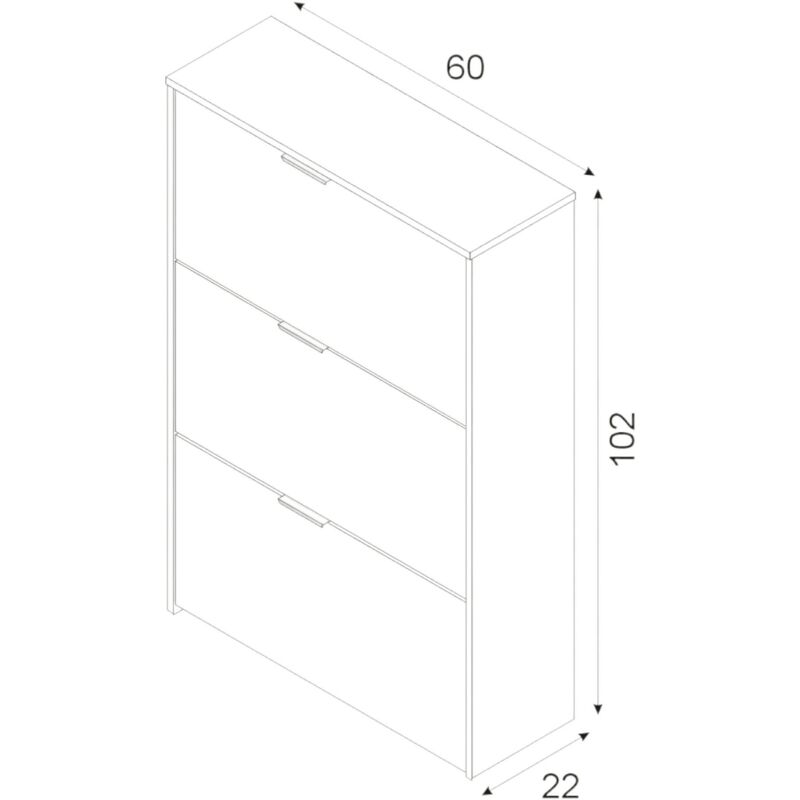 Dmora Scarpiera Escondido, Armadio portascarpe a 3 ante a ribalta, Mobile  doppia capienza per max 18 paia di scarpe, cm 70x17h180, Bianco lucido, con  imballo rinforzato