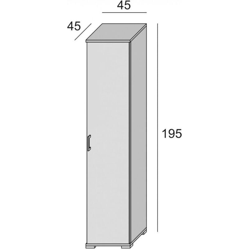 Dmora Armadio multiuso Aquilegia, Mobile lineare a 1 Anta battenti e 4  ripiani regolabili, Mobile a colonna per bagno, 100% Made in Italy, Cm  45x45h195, Bianco, con imballo rinforzato