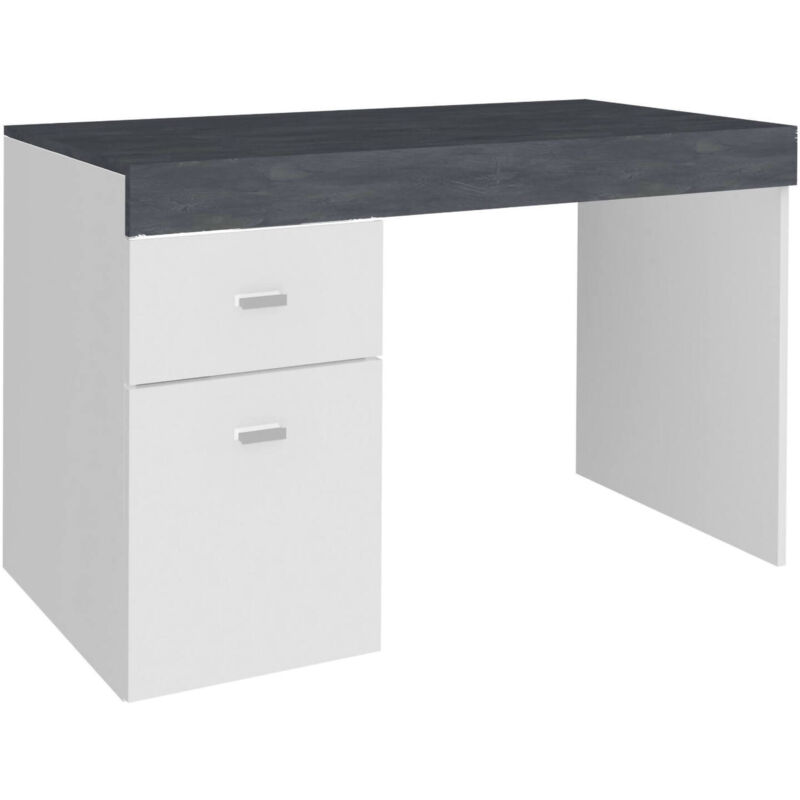 Dmora - Scrivania Daucell, Scrittoio lineare porta PC, Tavolo multiuso per  ufficio, Scrivania salvaspazio, 100% Made in Italy, cm 100x60h75, Bianco  lucido e Ardesia