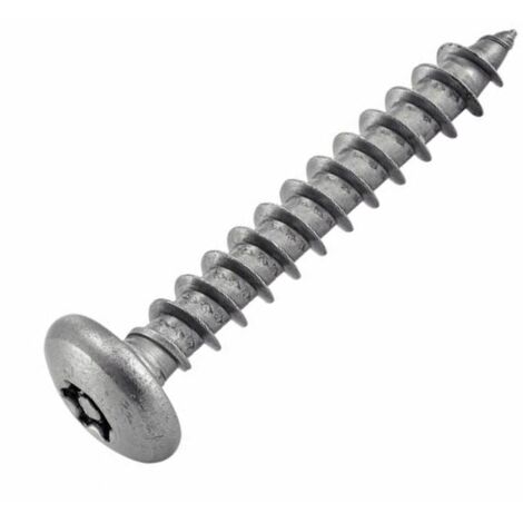 Vis Tôle Inviolable Tête Bombée Torx + Téton 3.5X13 Inox