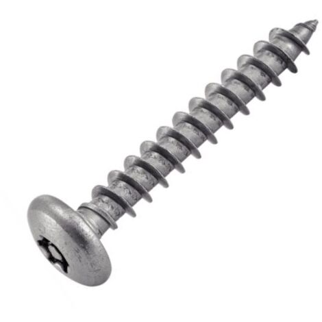 Vis Tôle Inviolable Tête Bombée Torx + Téton 4.2X13 Inox (1/2)
