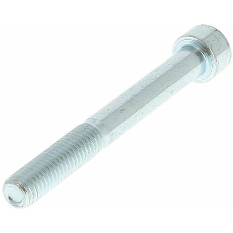Lot De 130 Vis CHC BTR M5 X 40 Mm, Acier Zingué Indice 8.8 - Visserie Pro En Vrac