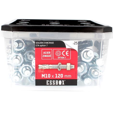 ESSBOX de 25 Goujons D'Ancrage 10X120 Acier (1/2)