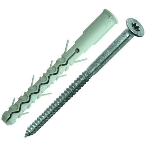 Cheville Nylon Double Expansion M10X100 avec Vis TF Torx (1/2)