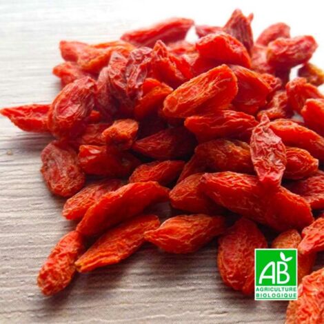 Pépinières Naudet – Goji de Chine BIO – Arbuste mellifère – Baies acidulées récoltées d'août à octobre – Excellente rusticité jusqu'à -15°C