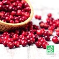 Pépinières Naudet – Canneberge 'Crowley' BIO – Gros fruits ronds rouges – Goût acidulé – Pour sols acides et humides – Période de récolte : octobre-novembre