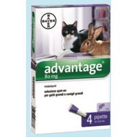Advantage Spot On 80 Gatti e Conigli 4 Fiale da 8 Ml