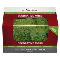 Lichen Vert Mousse 50 gr