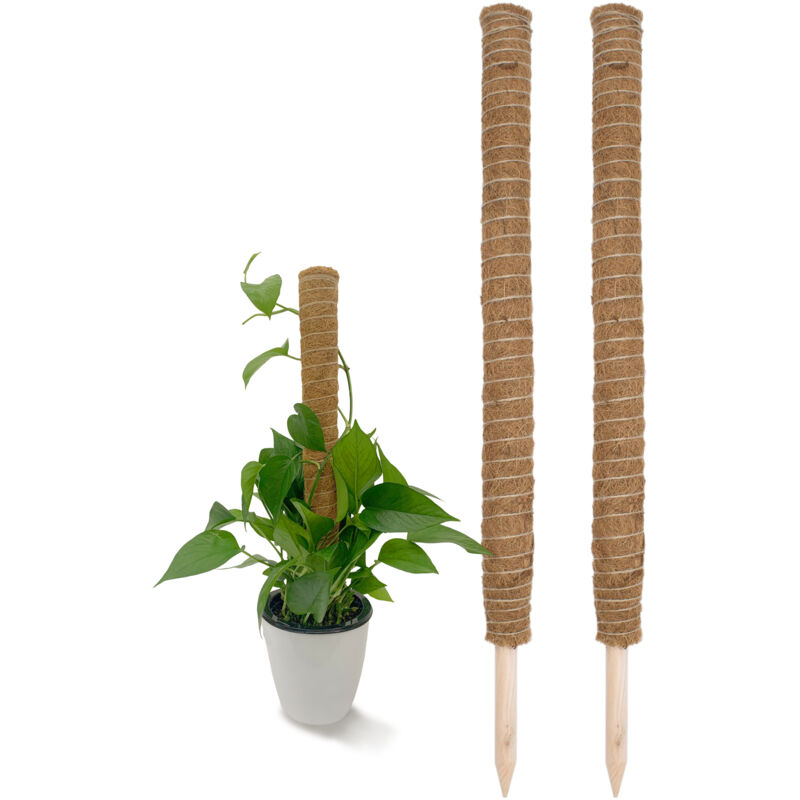 Bambus Splittstab 40 cm natur - 200 Stck - Anzuchthilfe fr Pflanztpfe  und Beete - Garten Pflanzstab Tomaten Blumentopf Rankhilfe Kletterhilfe  Bambusstange