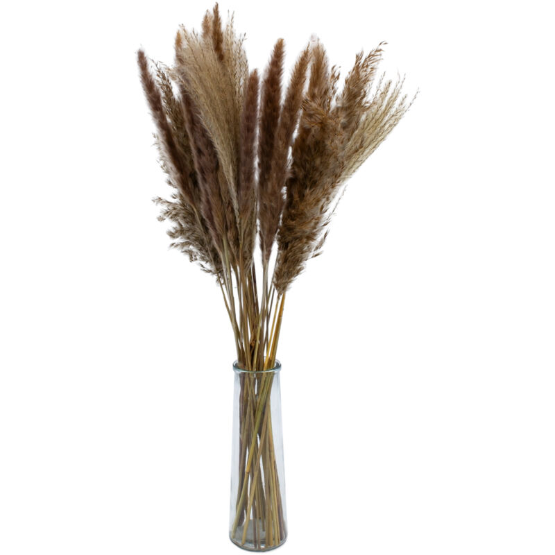 Faszinierend Vase Fr Pampasgras 70 Cm Bild