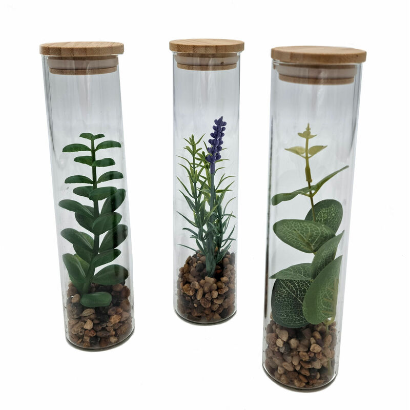 Kunstpflanze in Glasvase ca. 20 cm - 3er Set - Sukkulenten im Glas mit  Holzdeckel - Tisch Deko Zimmer