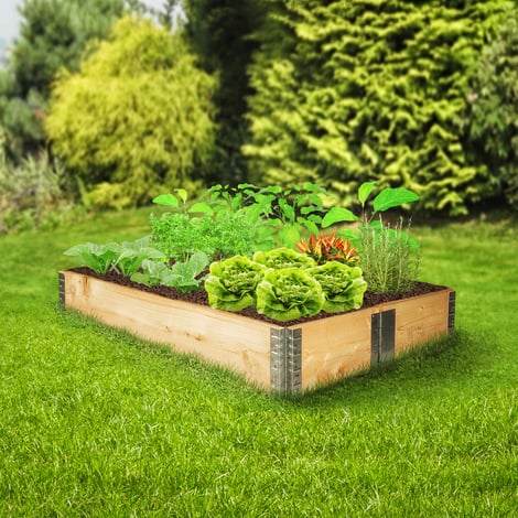 Cómo elegir tierra para cultivar un huerto