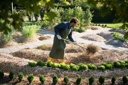 Comment cultiver un jardin bio
