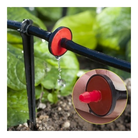 Cómo regar el jardín
