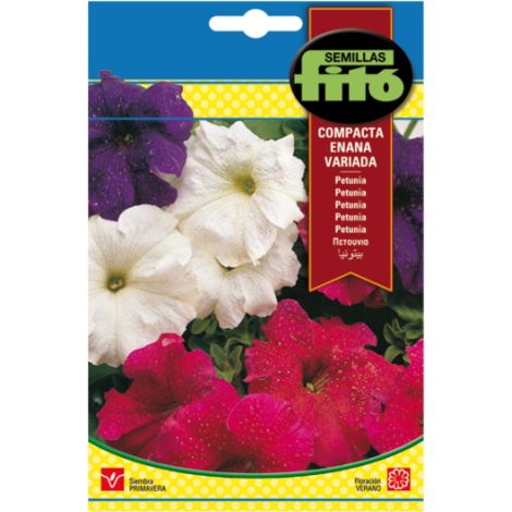 Cómo elegir semillas de flores