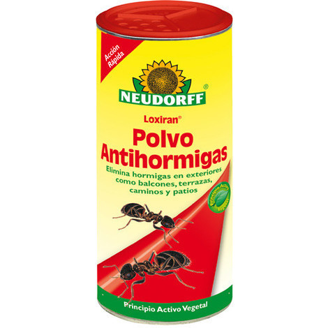 Cómo elegir insecticidas específicos para hormigas