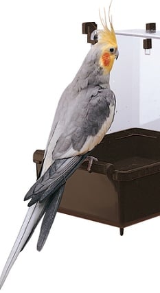 Bird cage accessories buying guide 