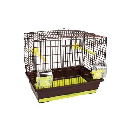 Cage Pour Oiseaux Comment Choisir Guide Complet