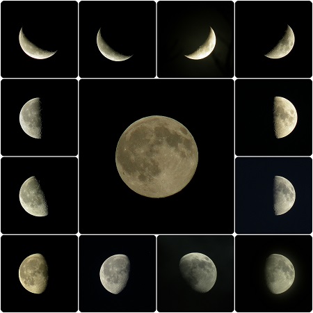 Cómo trabajar en el jardín según el calendario lunar