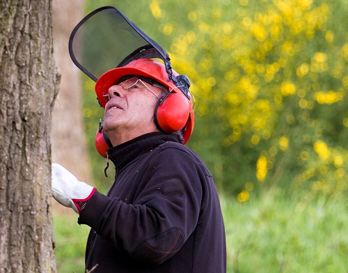 Comment choisir ses protections auditives et comment protéger sa tête