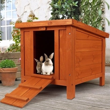 Rabbit hutch buying guide