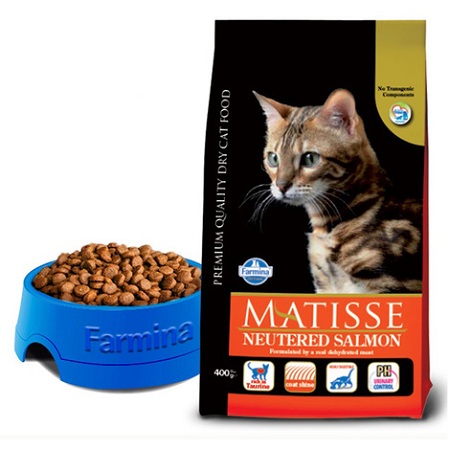 Comment Choisir Des Croquettes Pour Chat