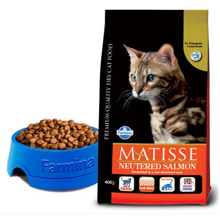 Dry cat food buying guide