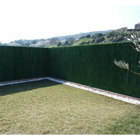 How to choose the right species of hedge plants?