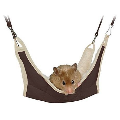 Rodent cage accessories buying guide
