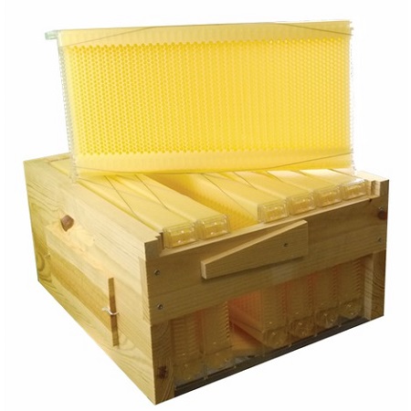 How to choose your essential hive accessories?
