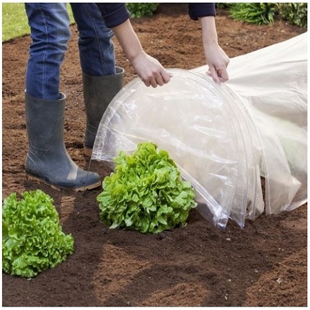 Cómo preparar tus plantas para sembrar
