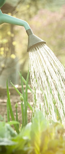 Welche Kriterien es vorm Kaufen die Diesel wasserpumpe zu analysieren gilt