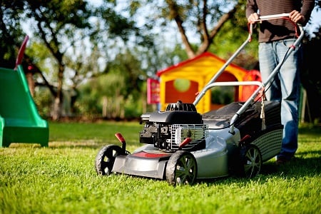 How to maintain your lawn?