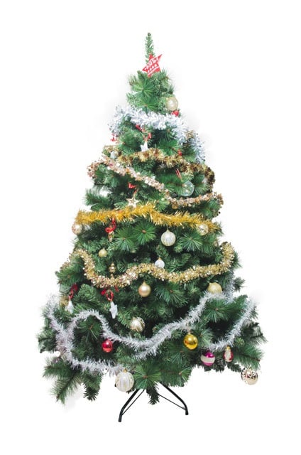 Immagini Di Un Albero Di Natale.Come Scegliere Un Albero Di Natale