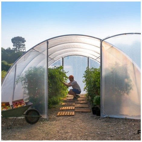 How to overwinter your plants