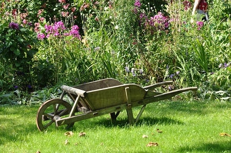 Comment désherber son jardin