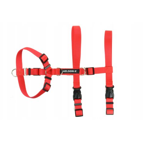 IMBRACATURA ANTIFUGA PER CANI EASY GUARD WALK NELSON-X TAGLIA XL PER TTOUCH