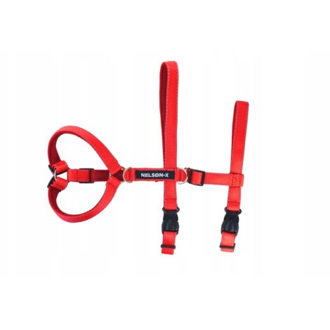 IMBRACATURA ANTIFUGA PER CANI GUARD RIFLETTENTE NELSON-X PAW TAGLIA L