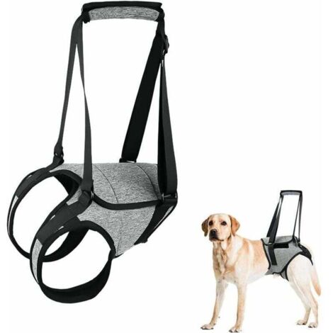Imbracatura di supporto per zampe posteriori del cane, imbracatura per cani di taglia grande con maniglia di sollevamento, imbracatura regolabile per cuccioli per alleviare il dolore, interventi chiru