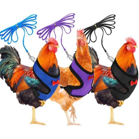 Imbracatura morbida regolabile per polli, 3 pezzi, imbracatura per polli, nuovo guinzaglio per animali domestici, regolabile, confortevole, traspirante, piccolo guinzaglio per anatre con guinzaglio pe