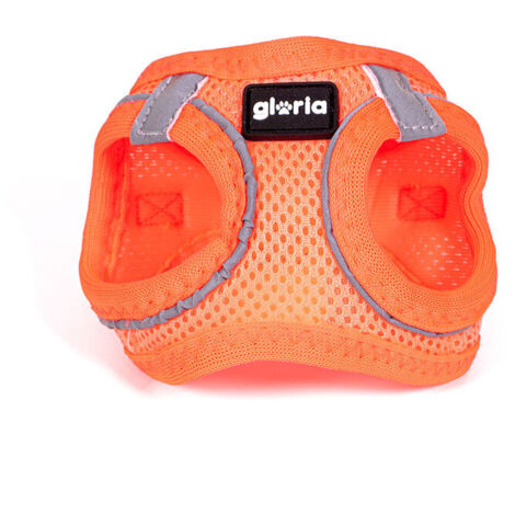 Imbracatura per Cani Gloria Trek Star 24-26 cm 28-28,6 cm Arancio XXS