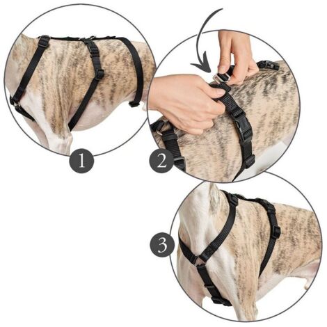 Imbracatura per Cani Hunter 48-70 cm Nero S/M