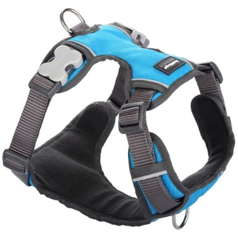 Imbracatura per Cani Red Dingo Trapunta Turchese Taglia XL